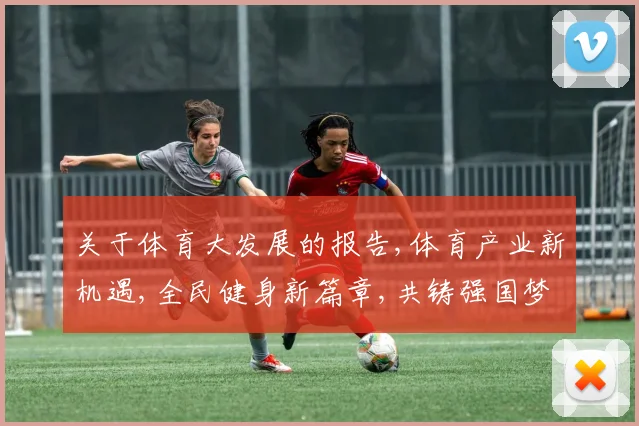 关于体育大发展的报告,体育产业新机遇,全民健身新篇章,共铸强国梦