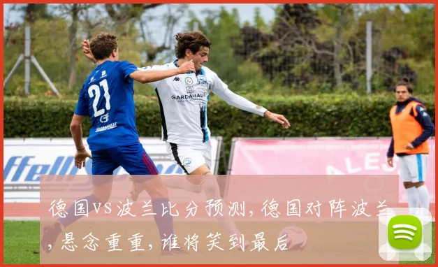 德国vs波兰比分预测,德国对阵波兰,悬念重重,谁将笑到最后
